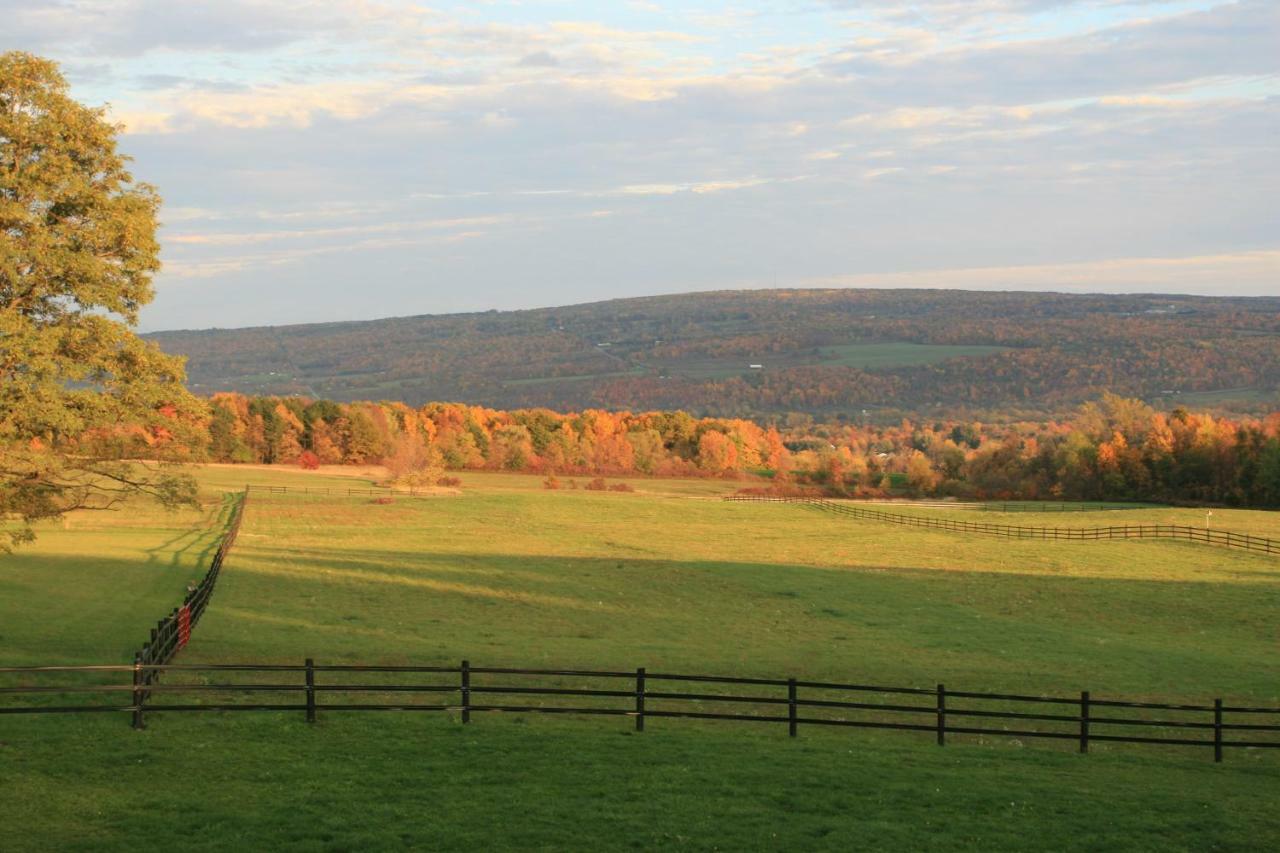فندق Nundaفي  Letchworth Farm المظهر الخارجي الصورة