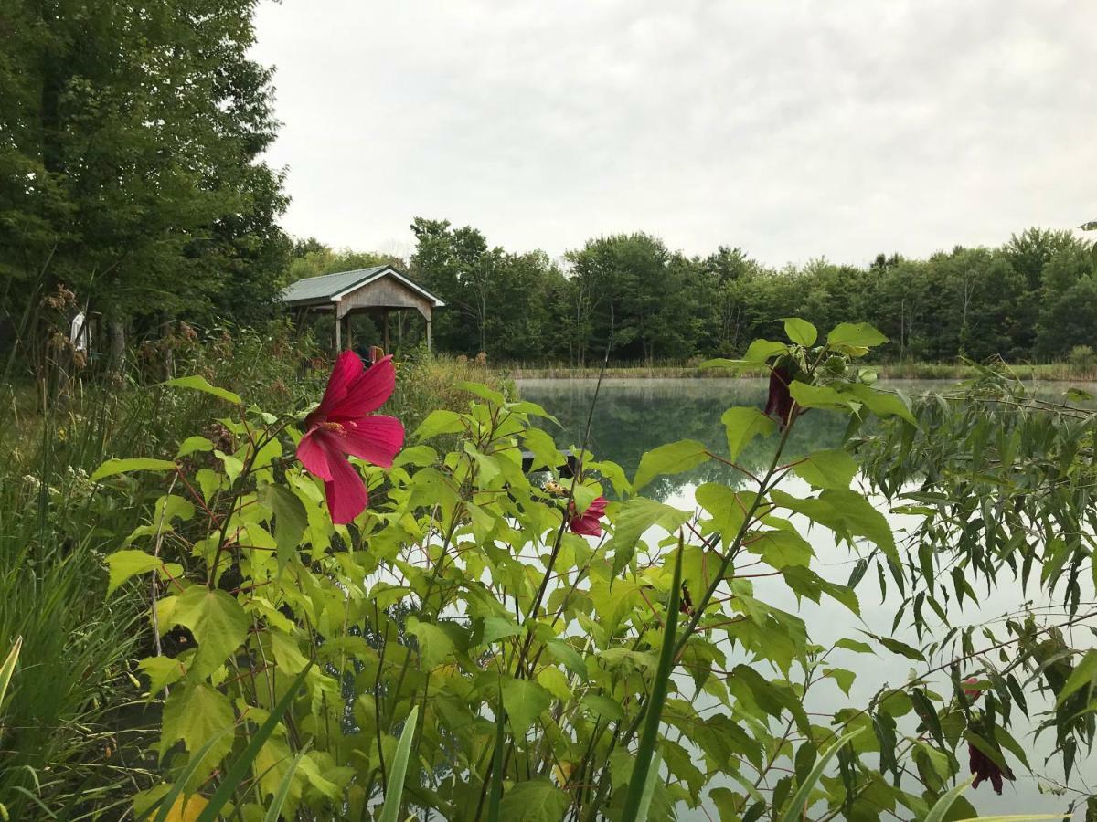 فندق Nundaفي  Letchworth Farm المظهر الخارجي الصورة