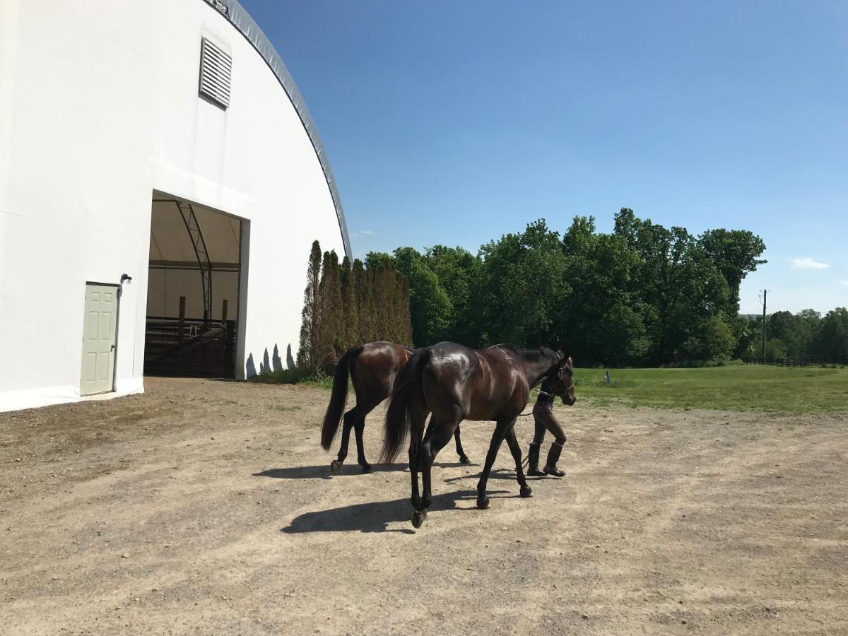 فندق Nundaفي  Letchworth Farm المظهر الخارجي الصورة