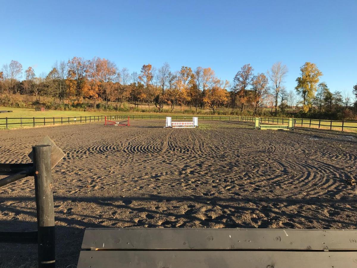 فندق Nundaفي  Letchworth Farm المظهر الخارجي الصورة